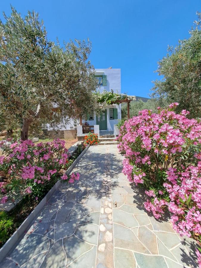 Madilides Apartment Platis Gialos  Exterior photo